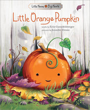 Load image into Gallery viewer, Little Orange Pumpkin
