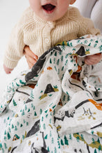 Load image into Gallery viewer, National Parks Swaddle 47”x47”