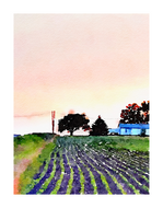 crop field print