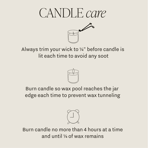 Mulled Cider 12 oz Candle - Fall Decor and Gifts